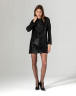 Payetli Elbise - Görsel 2